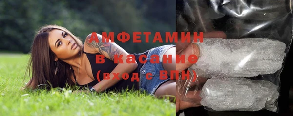 индика Богородицк