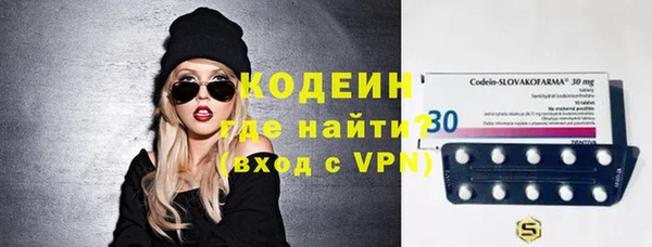 индика Богородицк