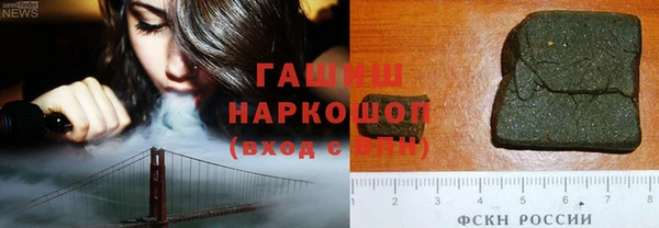 индика Богородицк