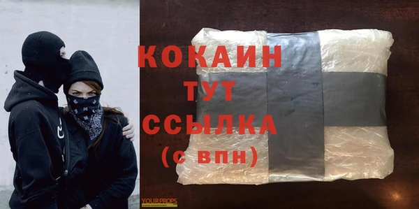 индика Богородицк