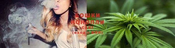 прущие крисы Горнозаводск