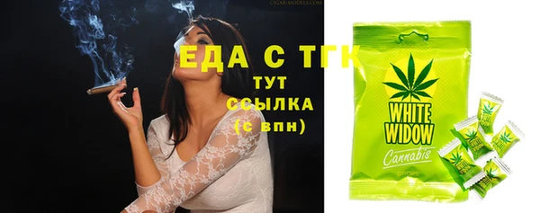 индика Богородицк