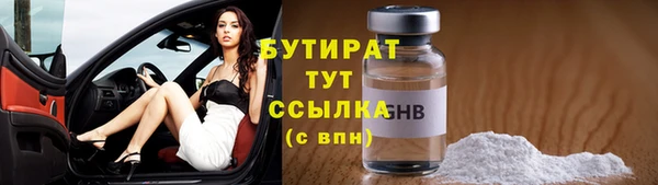индика Богородицк