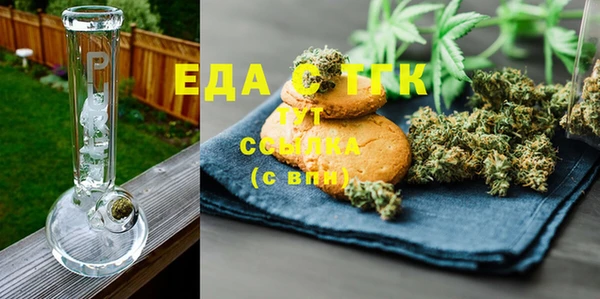 индика Богородицк