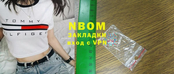 индика Богородицк
