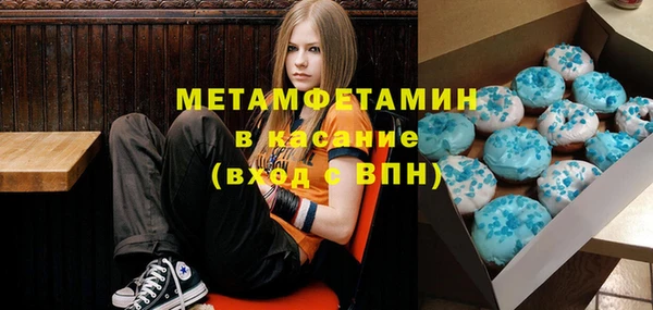 индика Богородицк
