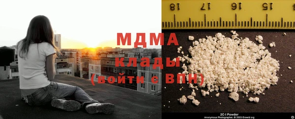 индика Богородицк