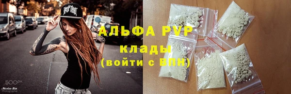 индика Богородицк