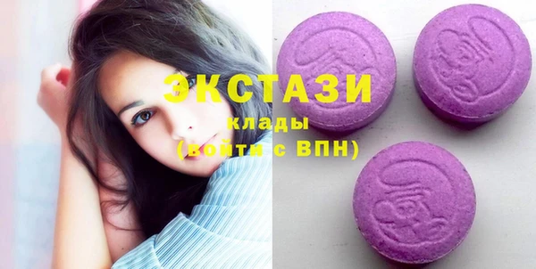 индика Богородицк